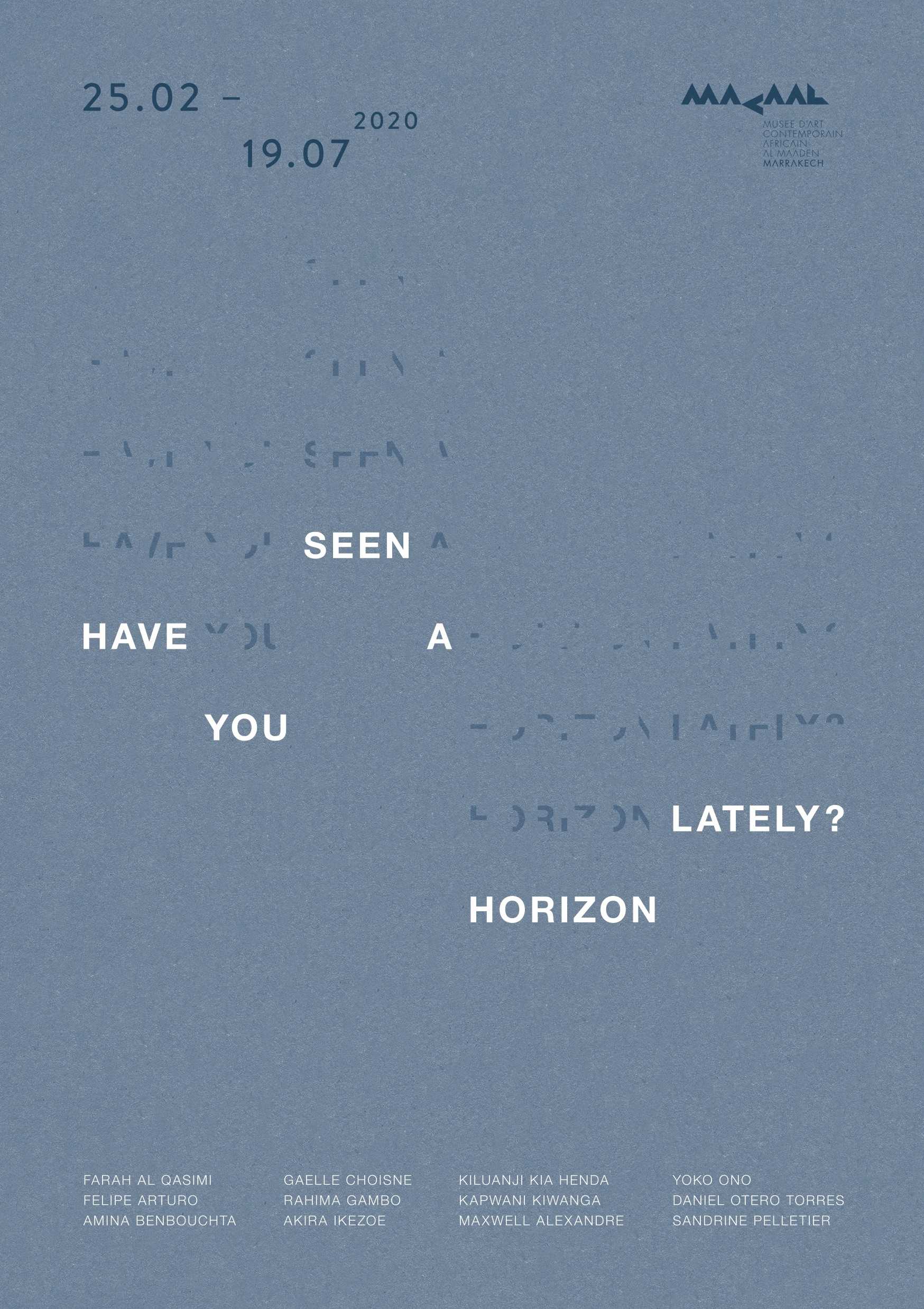 HAVE YOU SEEN A HORIZON LATELY?